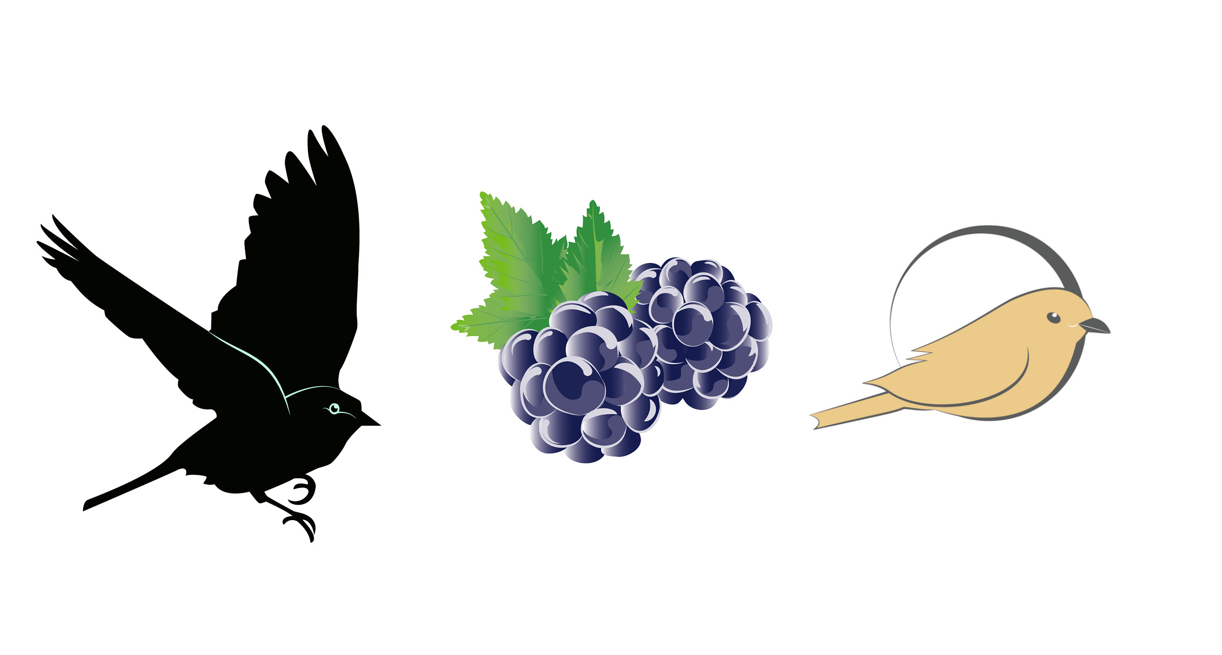 Vector Illustrations