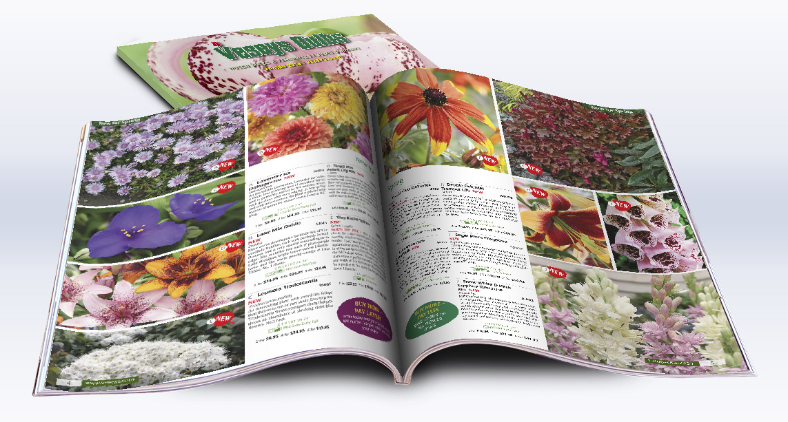 Veseys Catalogue Layout